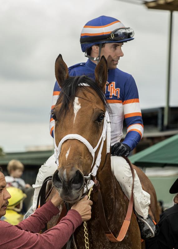 Tough Sunday and Joe Talamo after winning Sensational Star. (BENOIT photo)